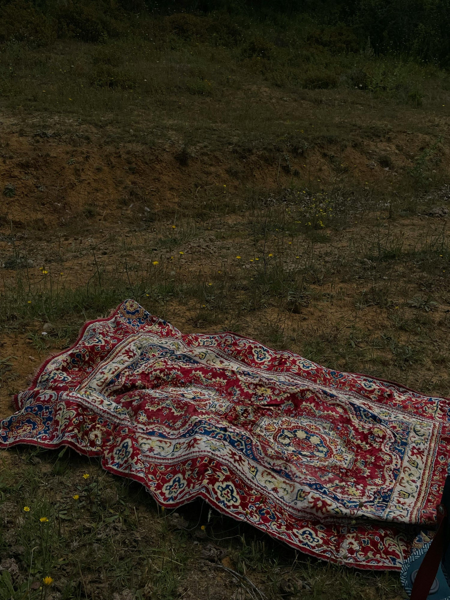 Small Rugs